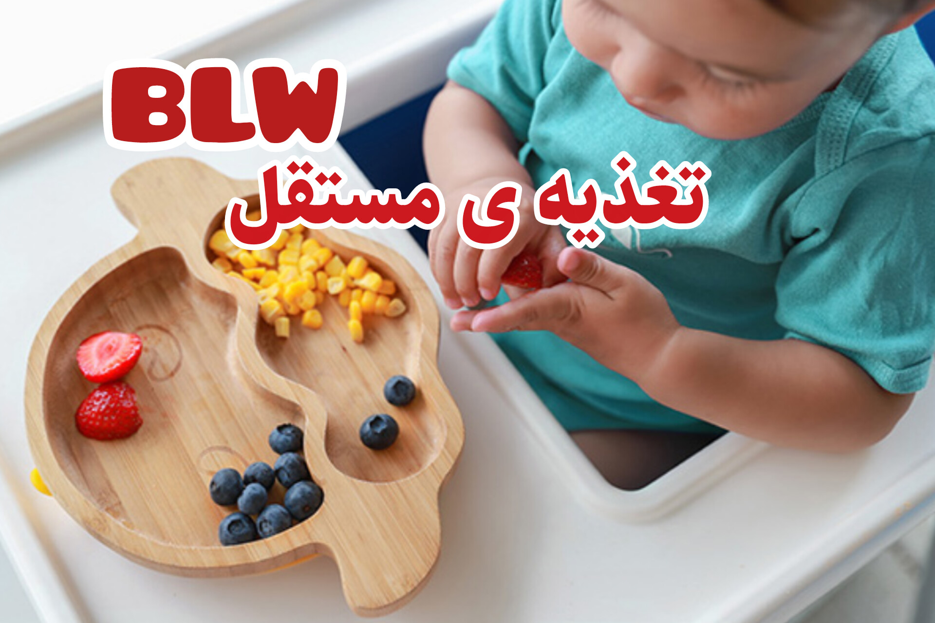 تغذیه ی مستقل یا BLW