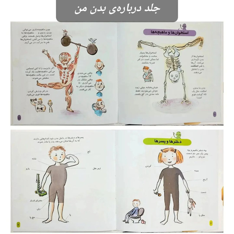 کتاب دایره المعارف کوچک من درباره ی بدن